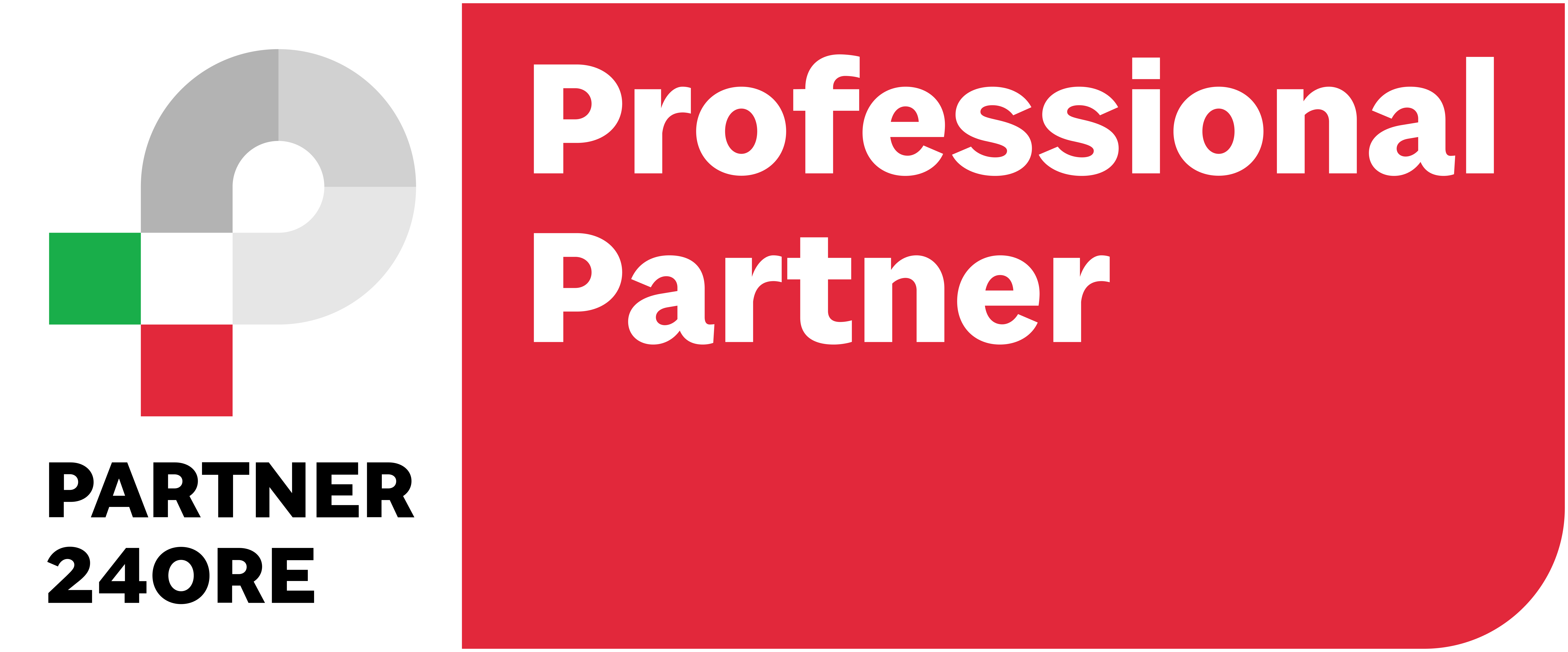 Professional Partner Il Sole 24 Ore